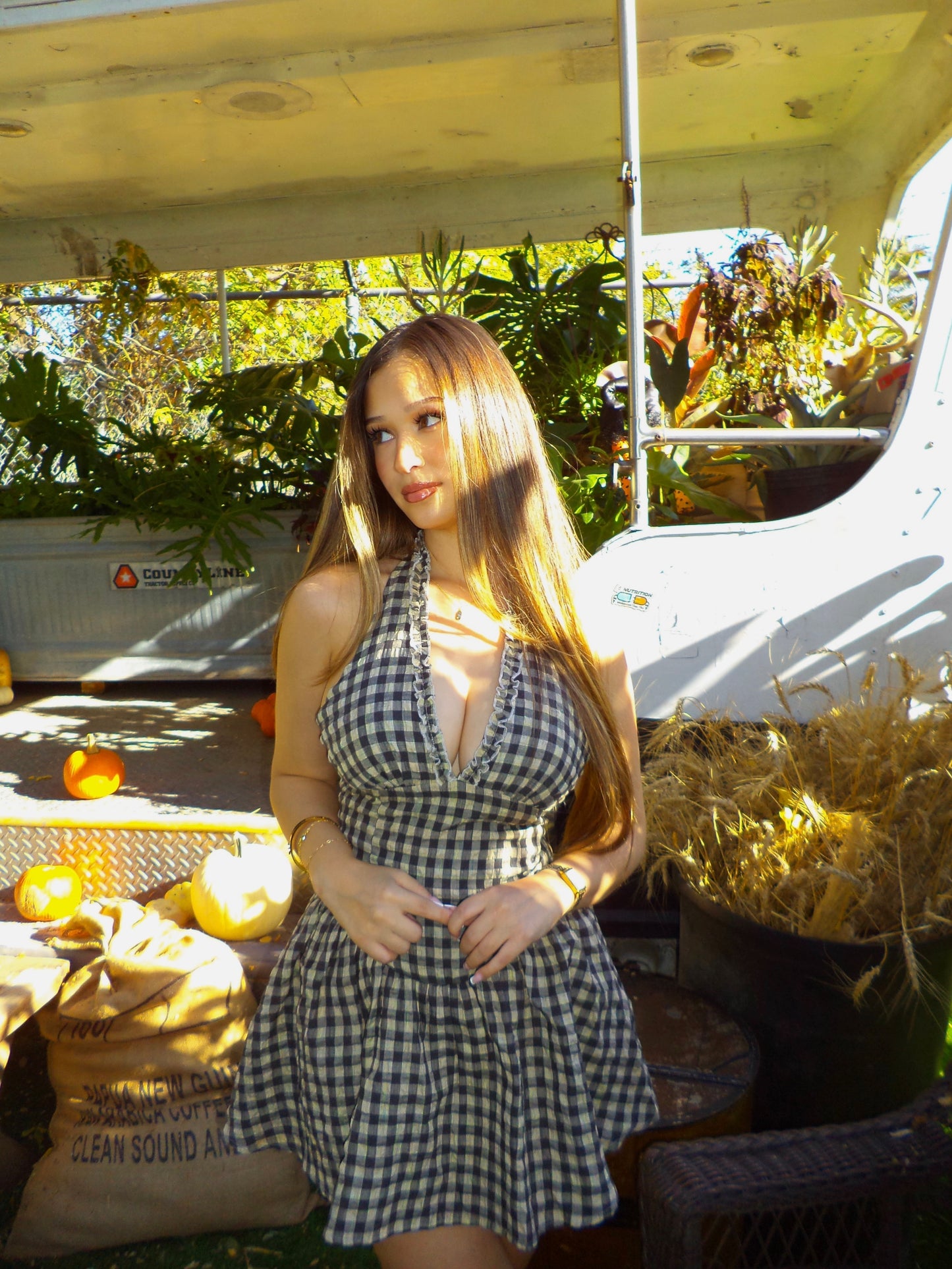 Audrey Checkered Mini Dress