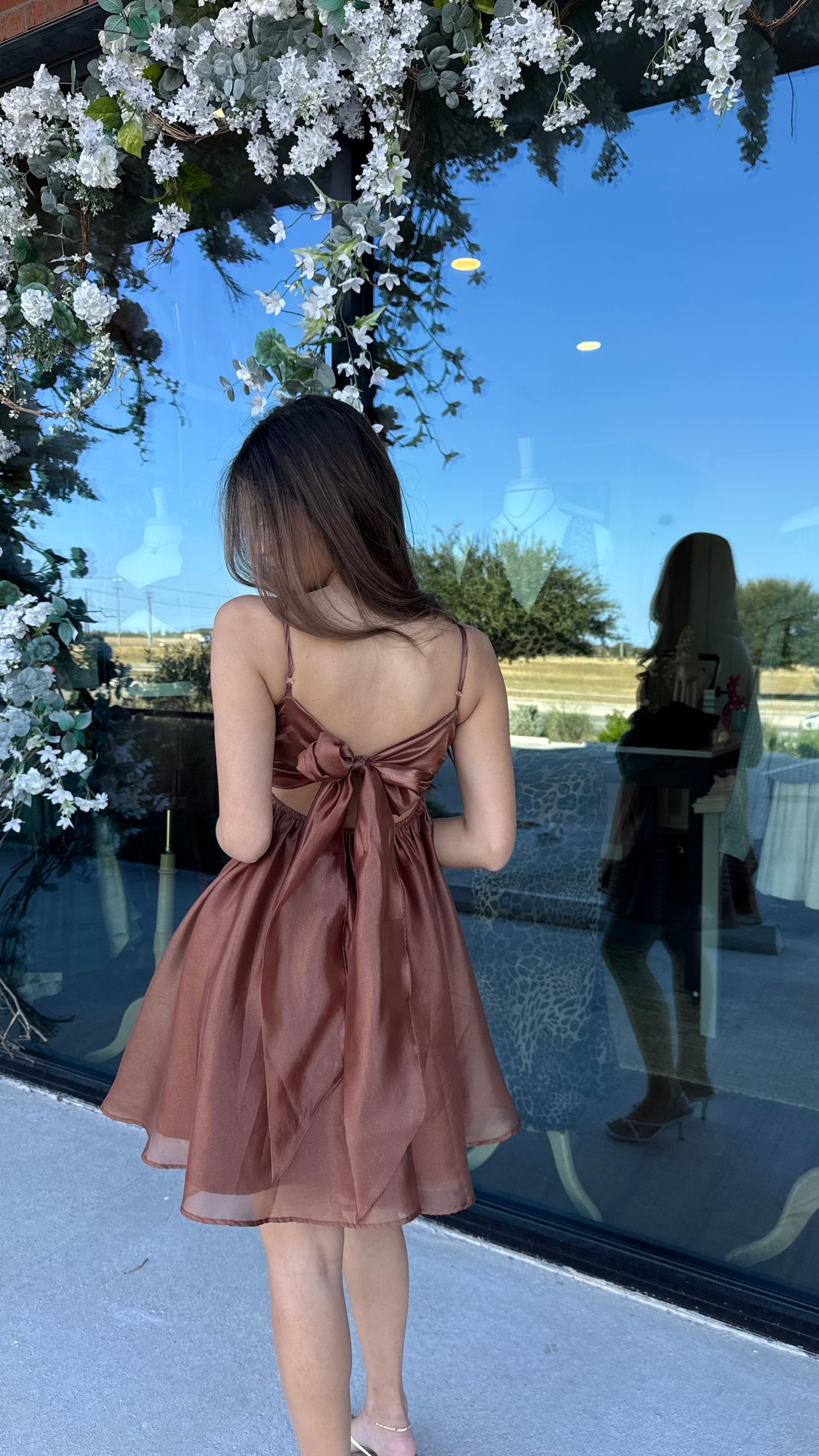 Tiana Sheer Cocoa Mini Dress