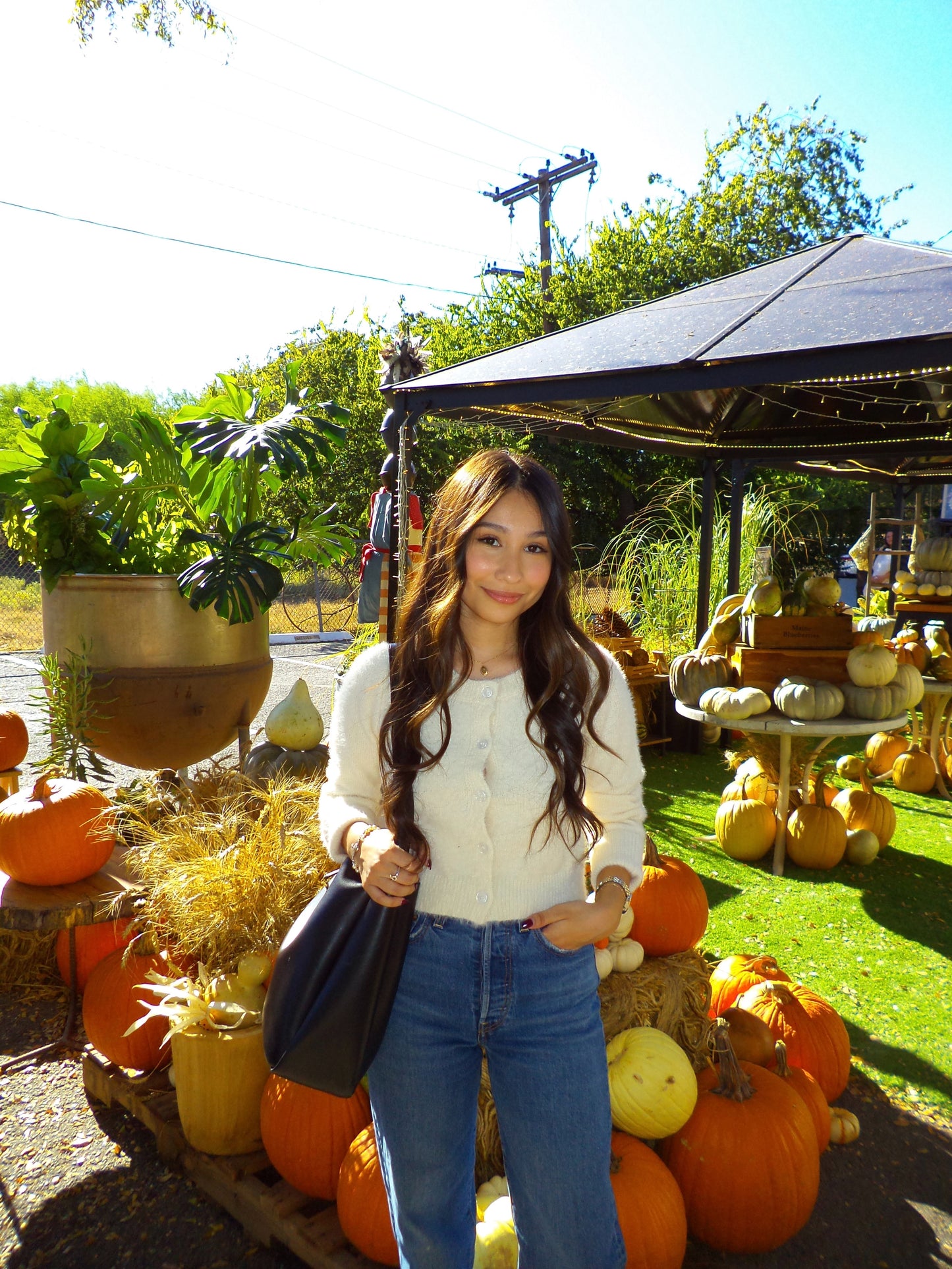 Kelly Knit Cardigan