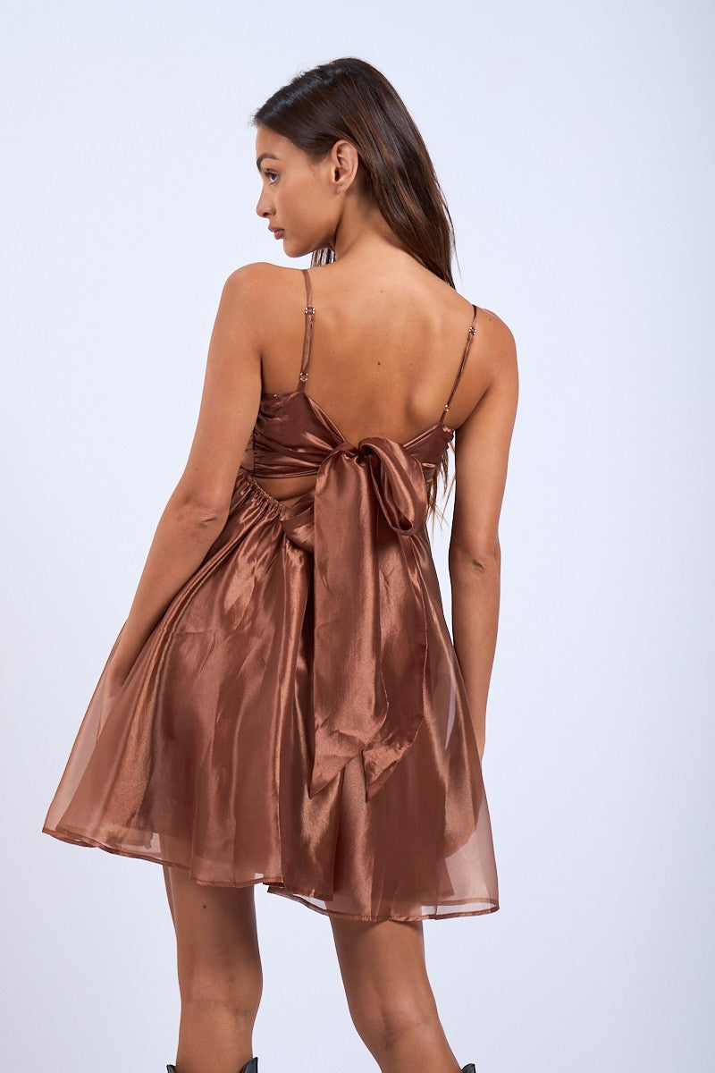Tiana Sheer Cocoa Mini Dress