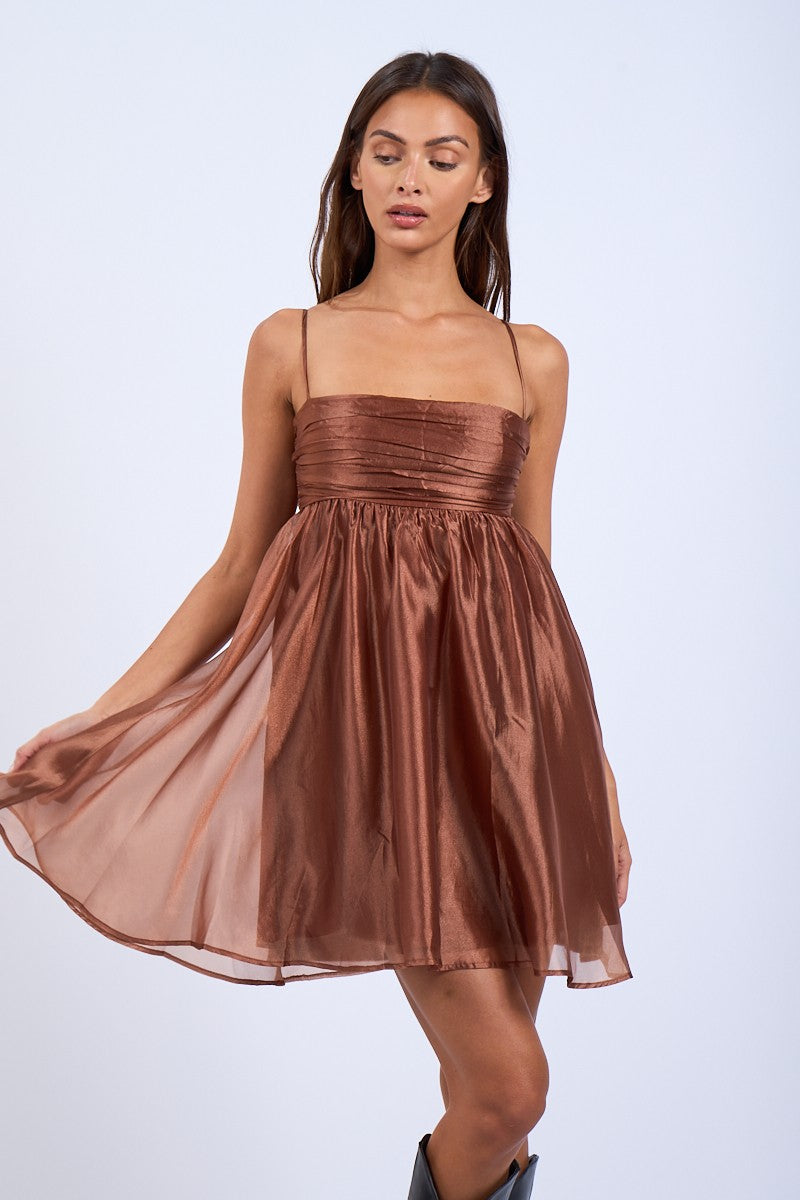 Tiana Sheer Cocoa Mini Dress