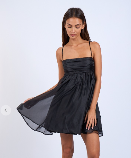 Tiana Sheer Black Mini Dress