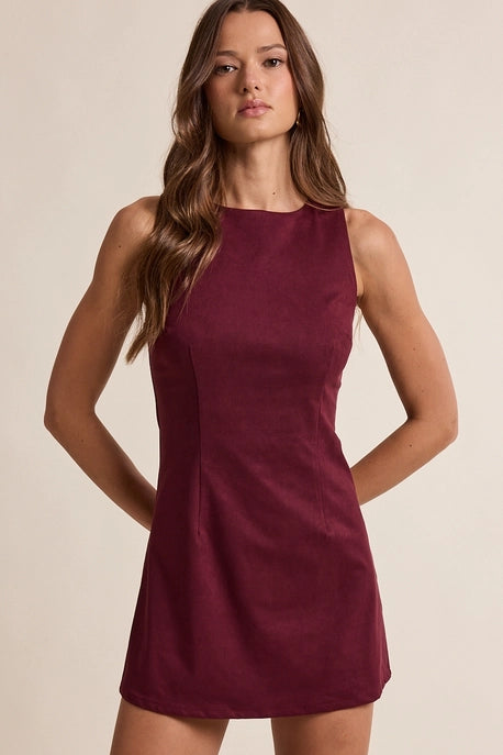 Serenity Suede Mini Dress